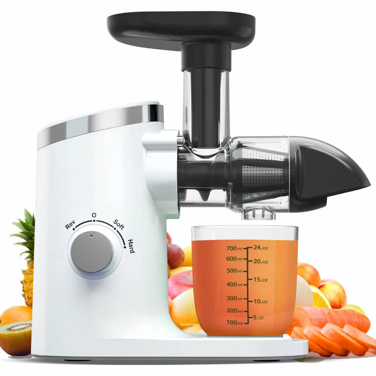 Commercial Cold Press Slow Juicer Electric Blender