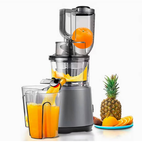 Home Use Multi-Functional 240W Slow Juicer Machine