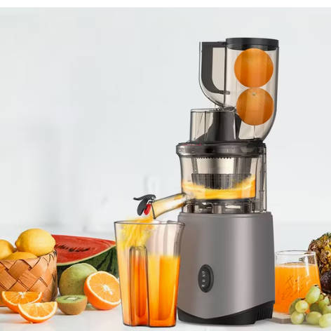 Portable Slow Masticating Juicer Wide Inlet with Powerful Performance